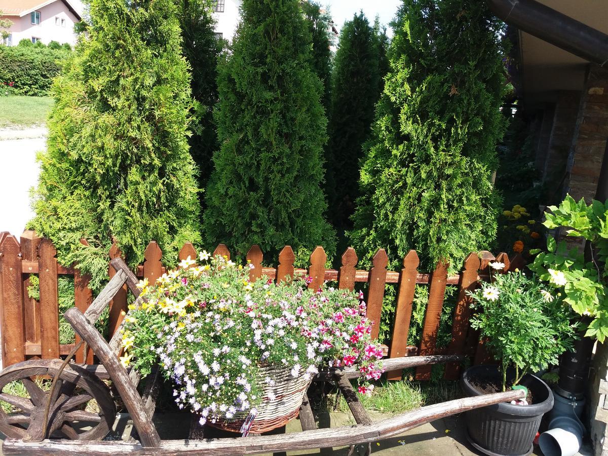 Apartament Centar! Masa Zlatibor Zewnętrze zdjęcie